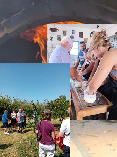 Cheese making and animal milking lessons + Cooking class + Farm Tour from 200 €